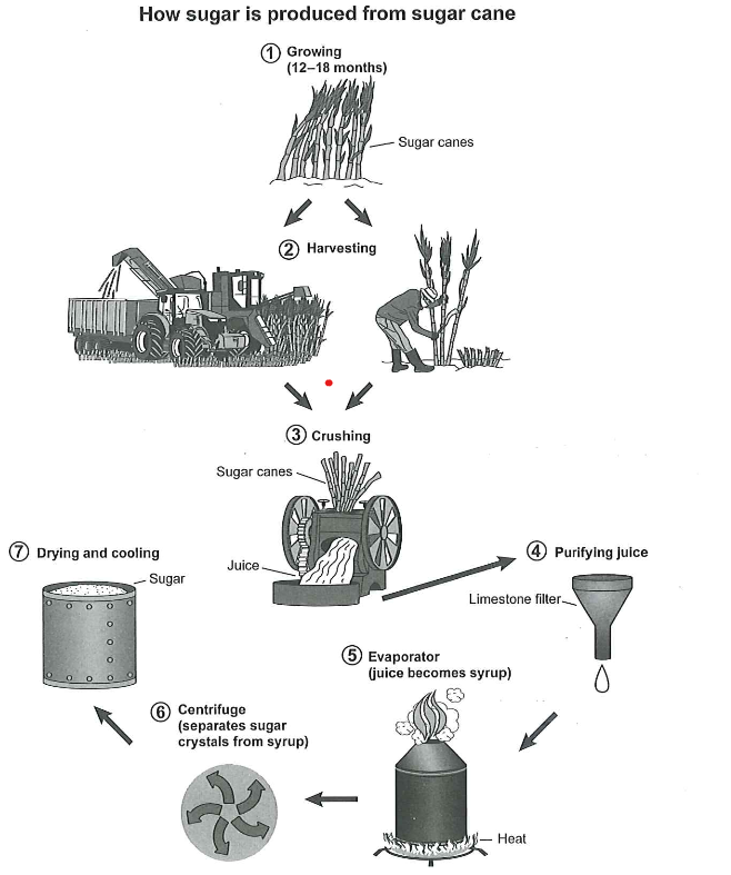 Cambridge 16 Test 2 Task 1 — Process Diagram